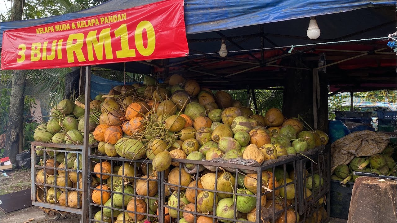 Cara Potong Kelapa MataQ Biar Laju Sila Tengok Sampai Habiss‼️❕❕📥 #subscribe #viral #coconut