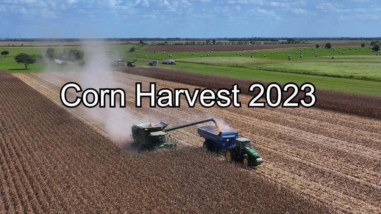 Corn Harvest 2023 in Texas has Begun Part 1