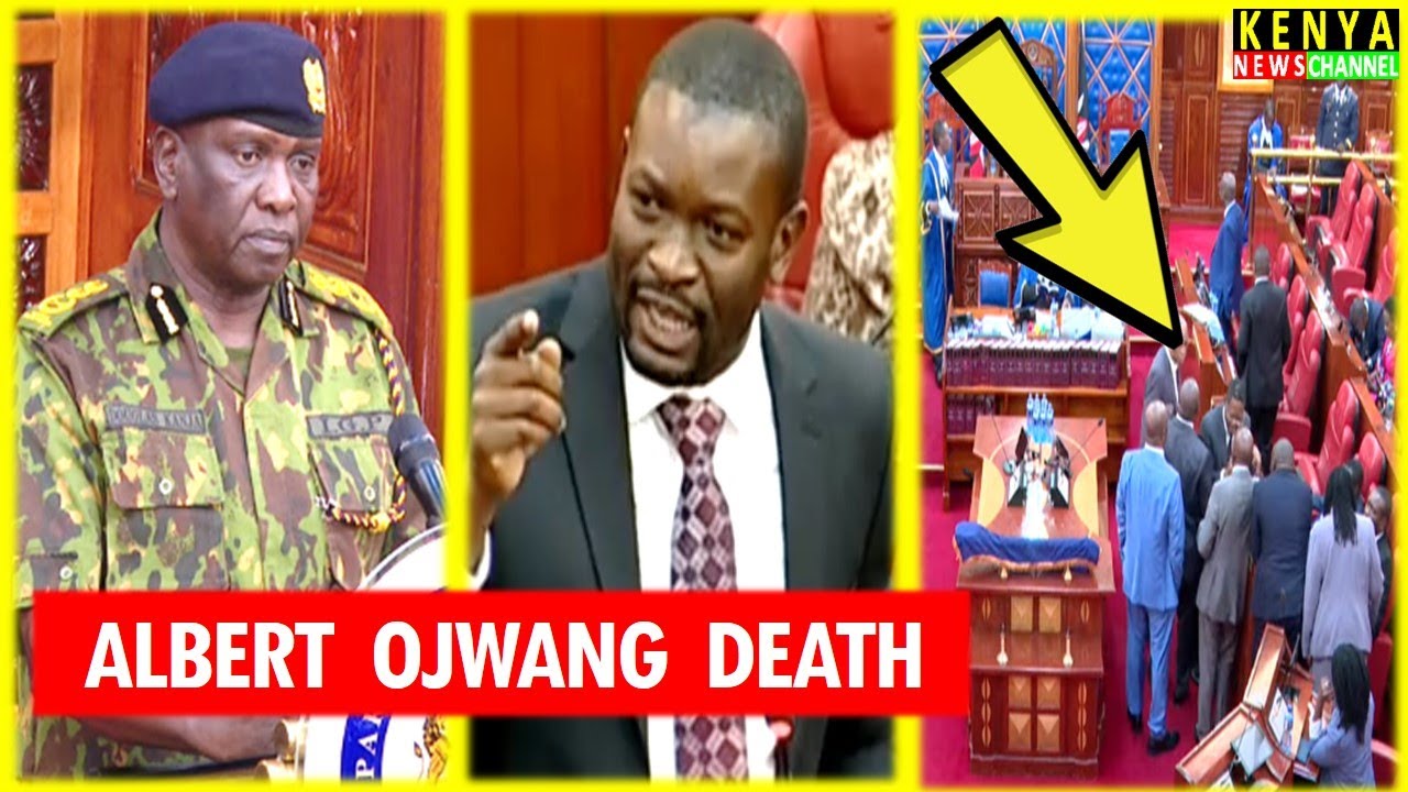 CHAOS erupts in Senate as IG Kanja stands to Answer Questions on Albert Ojwang Death in Police hands