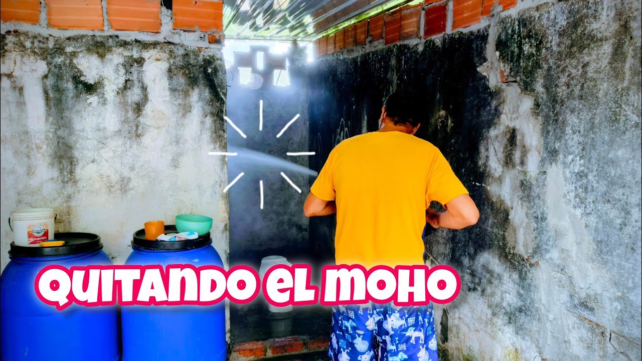 🌷SE LIMPIO EL MOHO DEL BAÑO, YA CRECIÓ EL CILANTRO, MAIZ 🌽; Y EL PEPINO 🥒 
