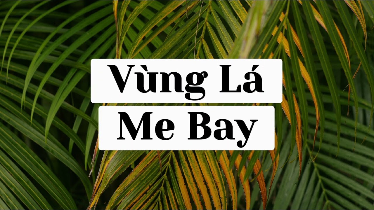 Vùng Lá Me Bay - Beat & Karaoke by Vân Hùng Cover 