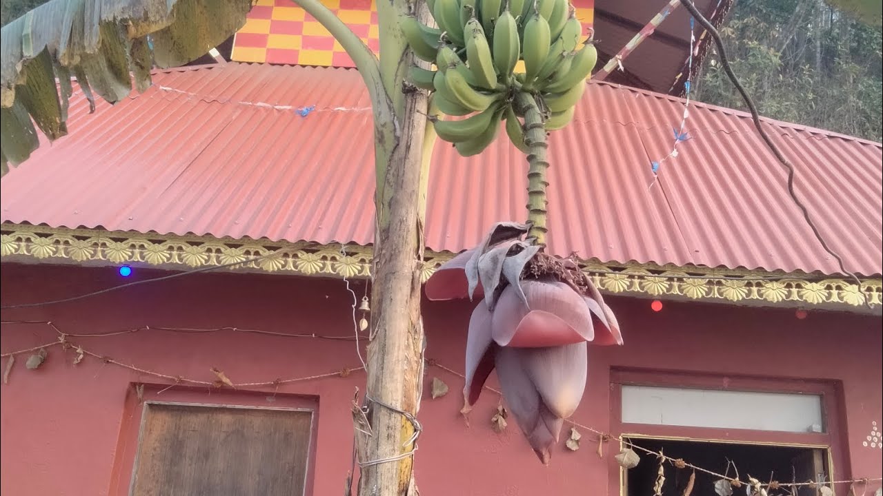 नेपाली धर्म सस्कृती र कर्म काणड ।