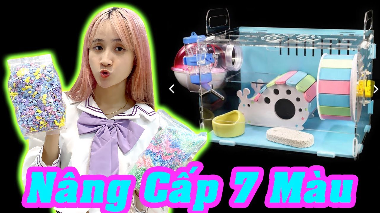Chị Vê Nâng Cấp 7 Màu Cho Các Bé Yêu Hamster - Vê Vê Animal