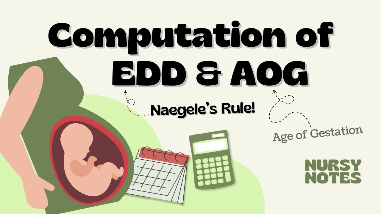 Calculate Expected Date of Delivery & Age of Gestation | Naegele's Rule! | Nursy Notes