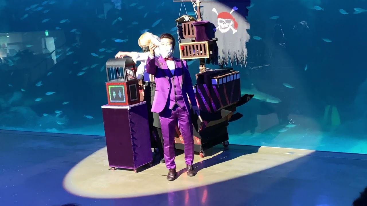 여수 아쿠아리움 마술쇼
