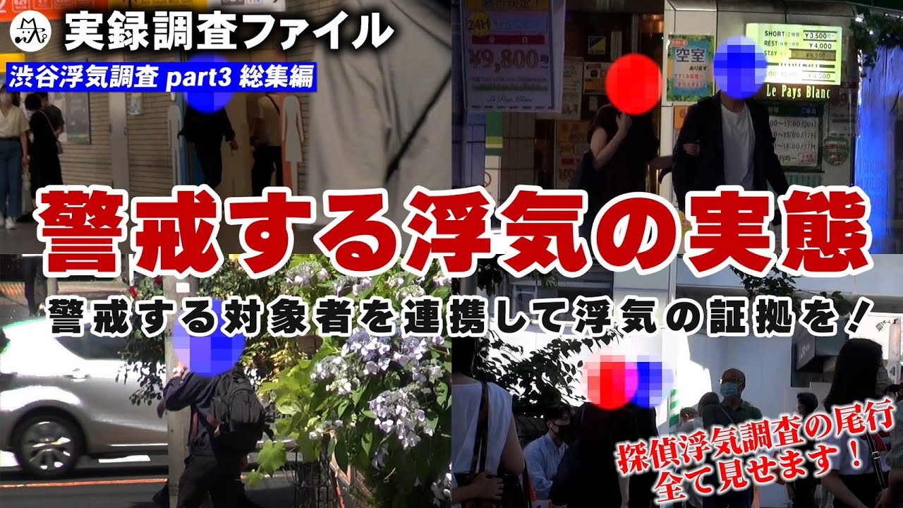【探偵 浮気調査】警戒する浮気の実態　総集編【実録調査ファイル】