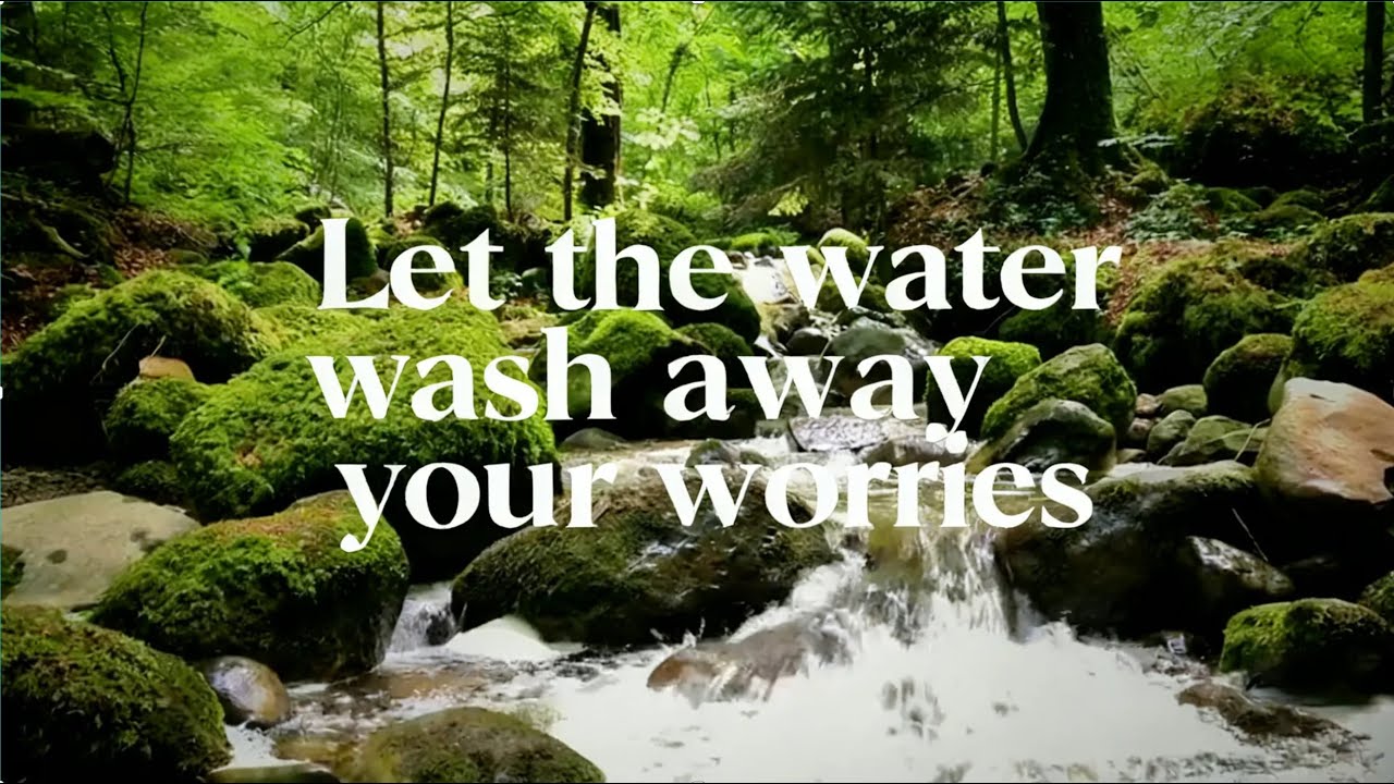 20 Minutes of Pure Creek Sounds (No Music) | High Quality Nature ASMR for Focus