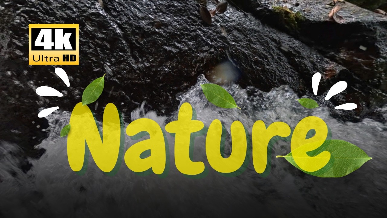 Experience the Pure Power and Serenity of Nature | I didn’t expect this calm in the forest