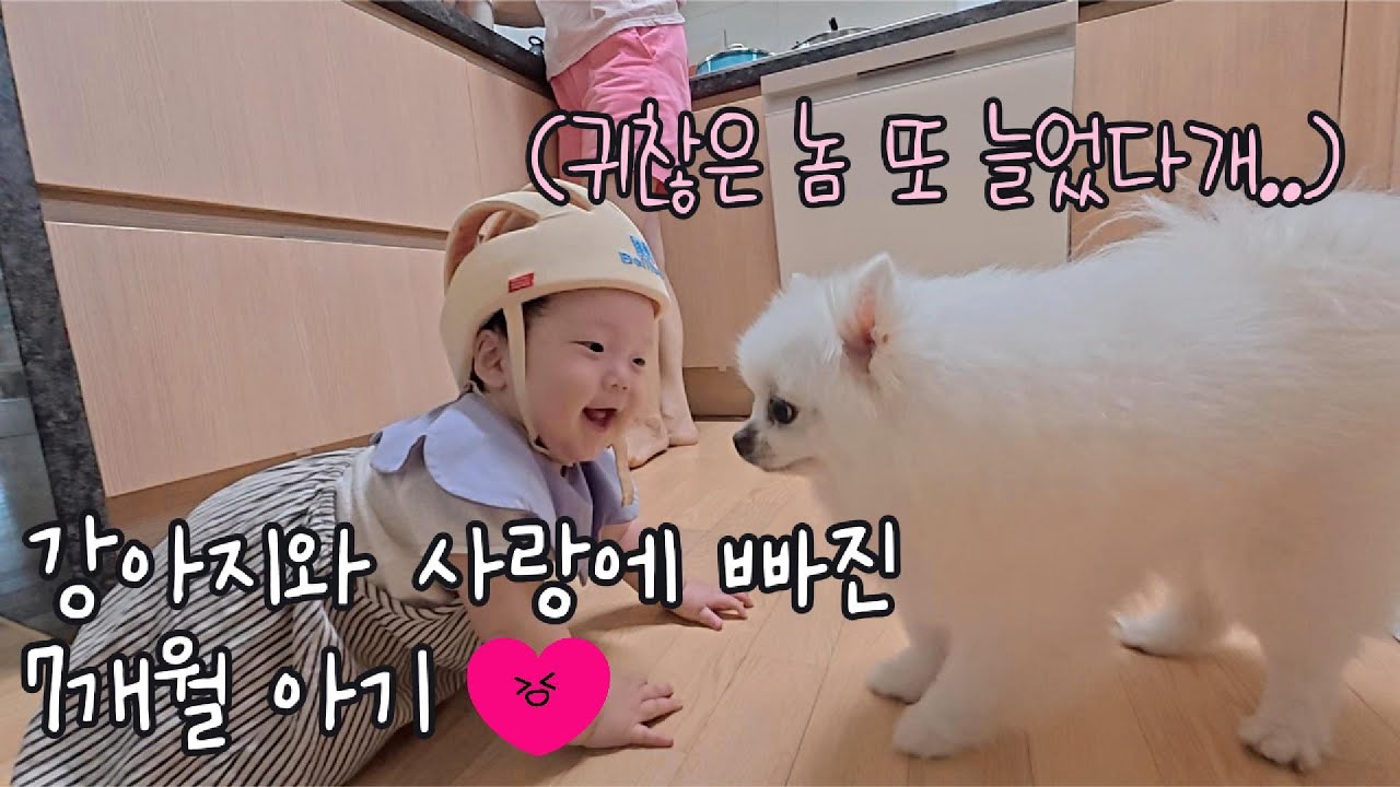 아기와 강아지 투샷은 사랑이죠 ❤️ | 두 아기를 상대해야 하는 할머니 강아지 | 진짜 화장하는 32갤 아기