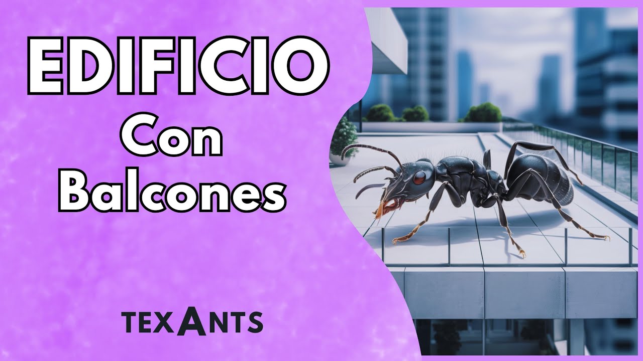 🚩3 Forrajeos PROGRESIVOS en el Edificio para Hormigas de COMPUESTO CERAMICO