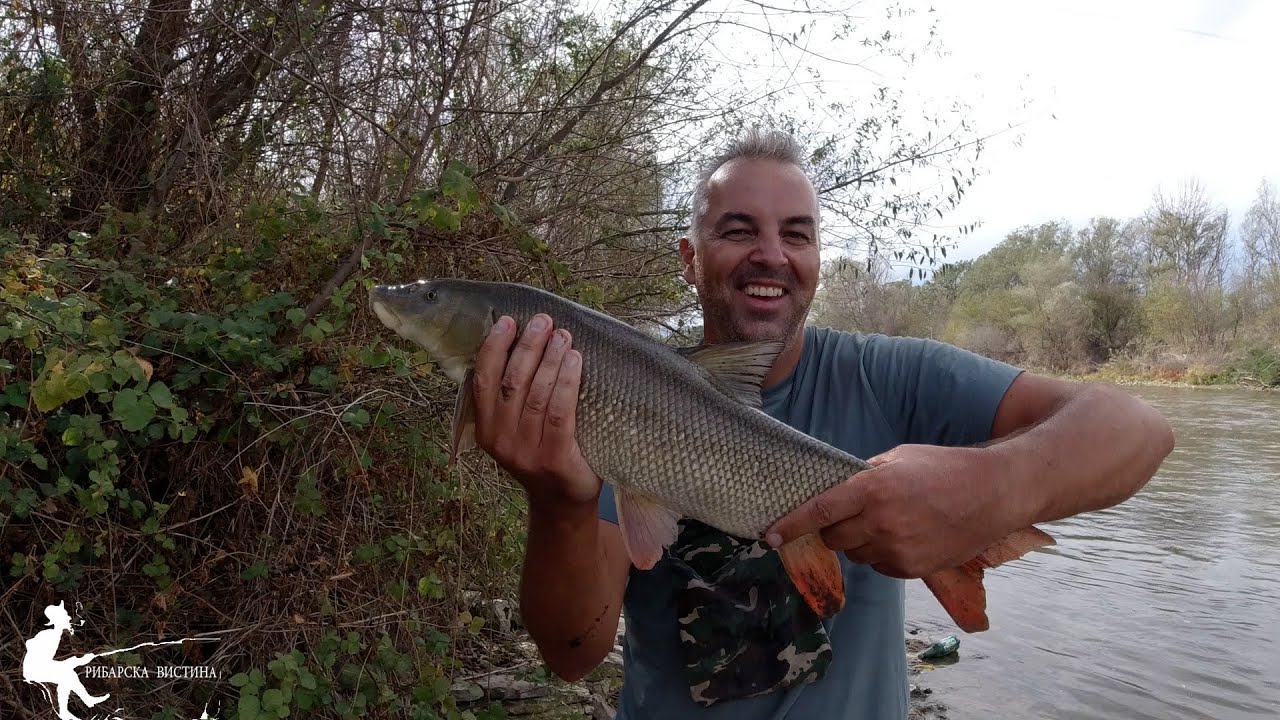 Mrenski andrenalin so Borce ILIEVSKI - Vardar 4ti oktomvri 2024 #fishing #ribolov #mrena