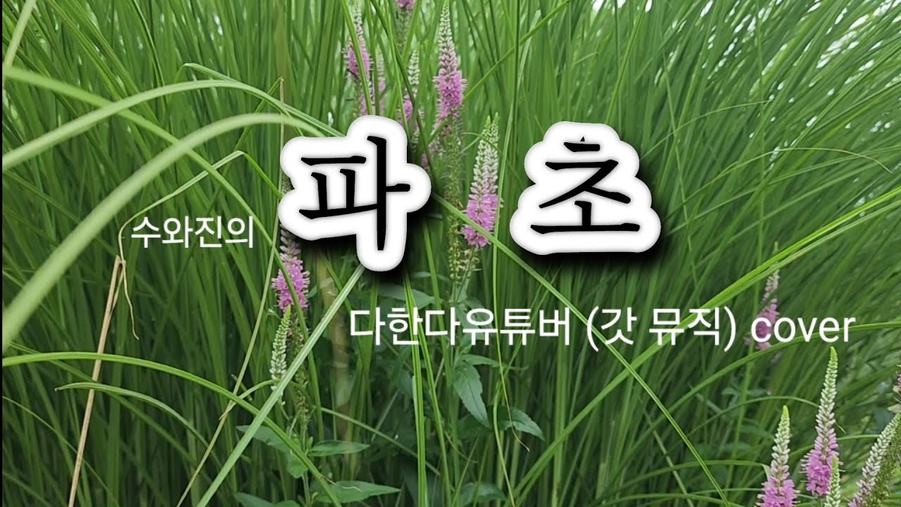 수와진의 