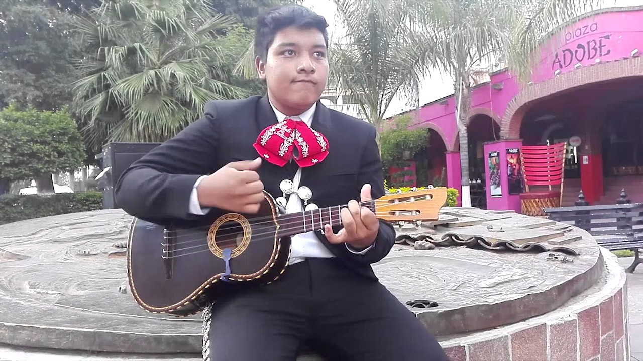 Solo "El Cascabel" Vihuela
