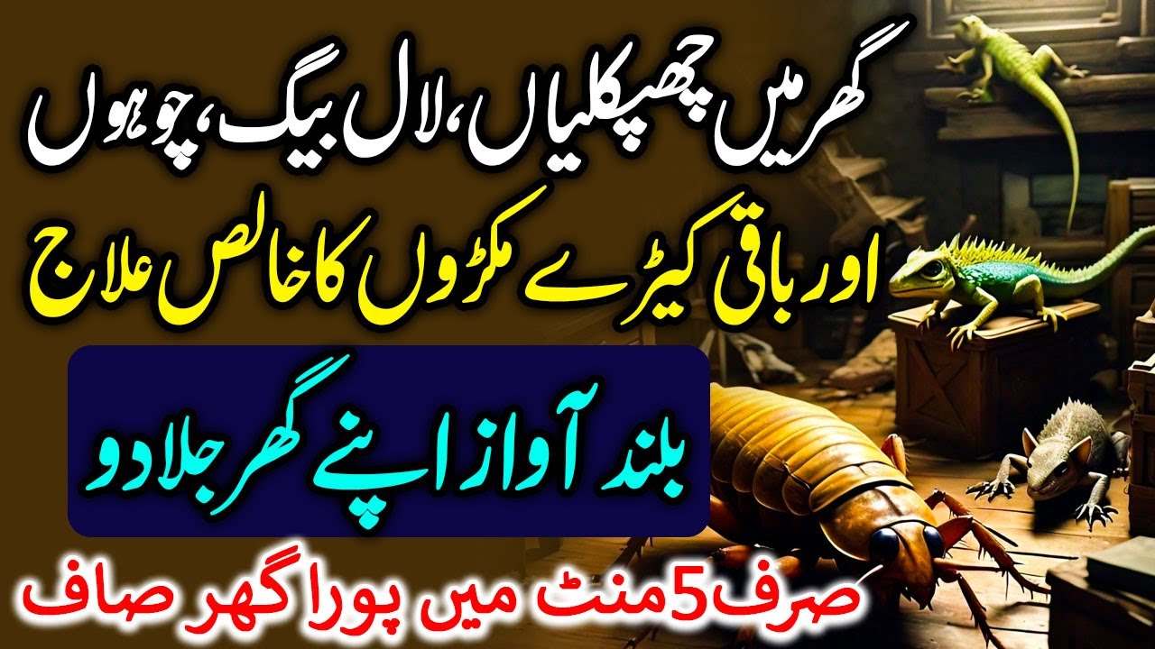 Wazifa For Insects | Chipkali Bhagane Ki Dua | Dua To Get Rid Of Cockroach | Dua For Lizards