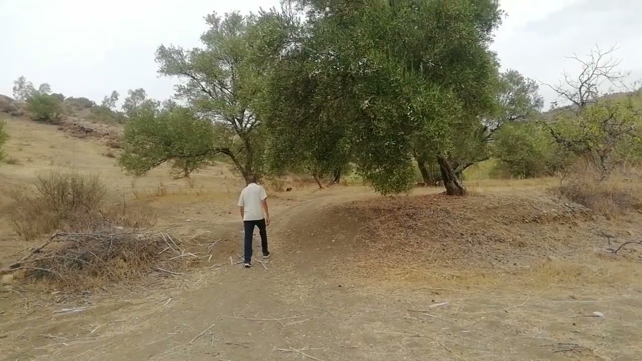 فيديو رائع من ساحل برية دوار القضاة البرانيس جماعة عين معطوف إقليم تاونات المغرب 🇲🇦