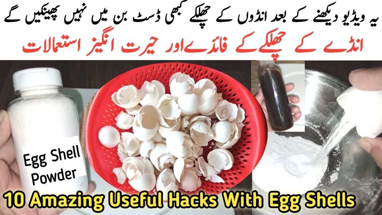How to make Perfect Egg Shell Powder | 10 Amazing Hacks With Egg Shells | Andon k chilkon ka powder