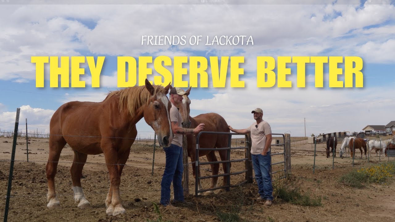 A Hospice for Horses