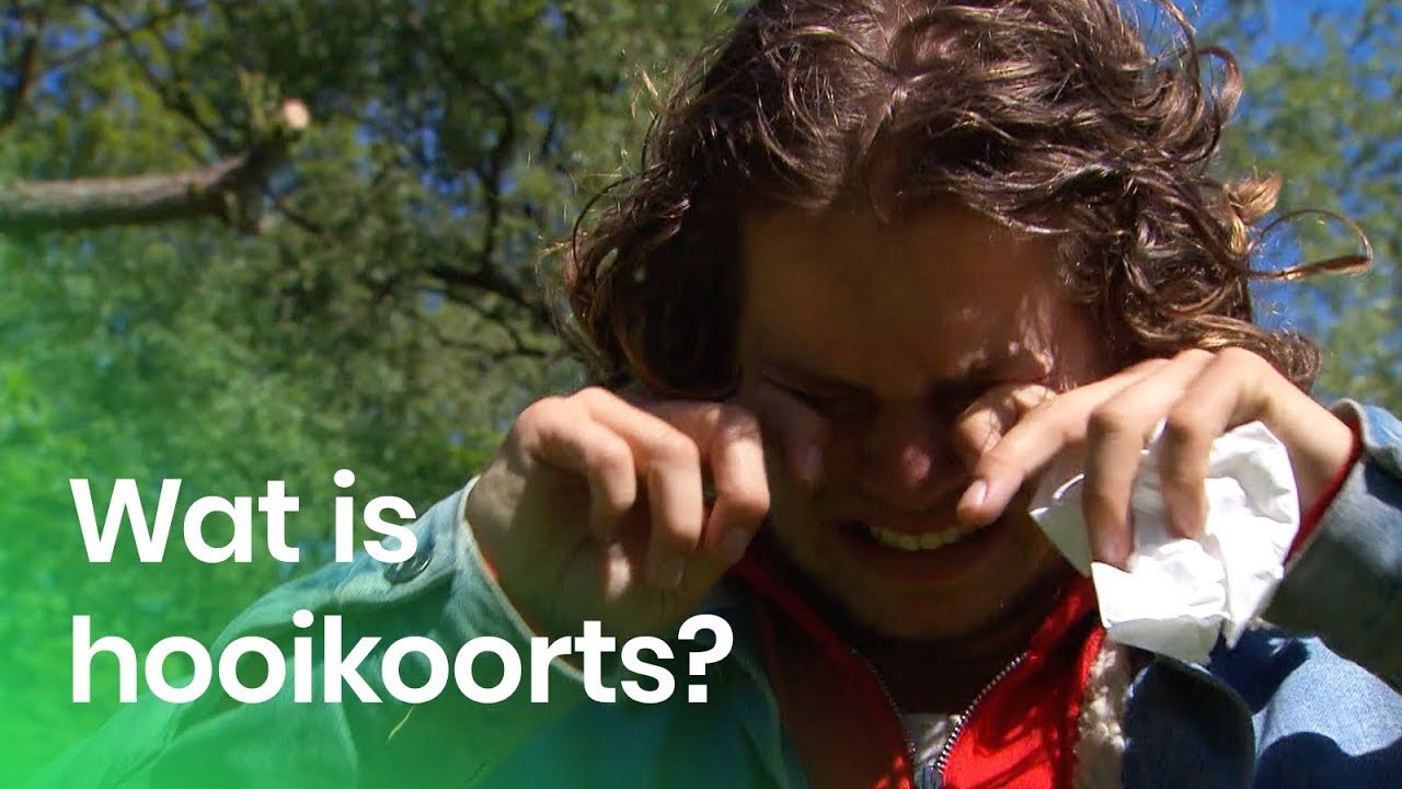 Wat is hooikoorts?
