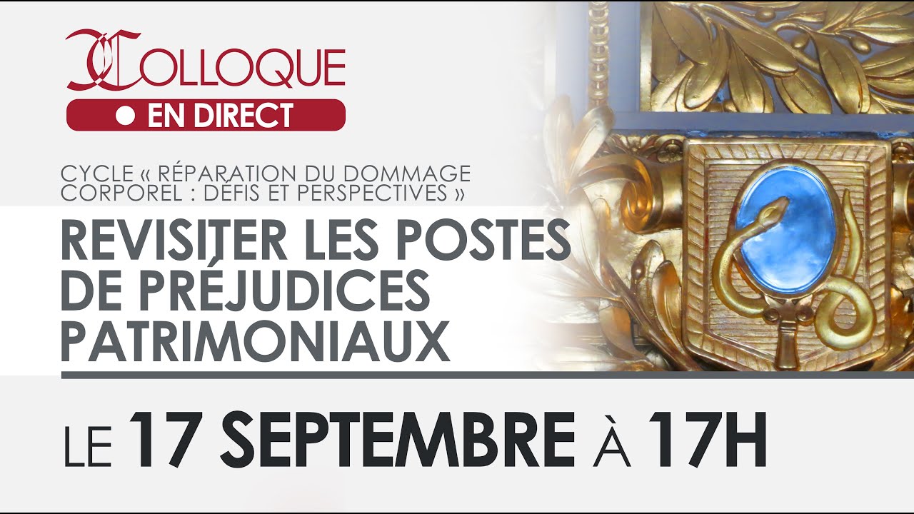 Revisiter les postes de préjudices patrimoniaux [Cycle 