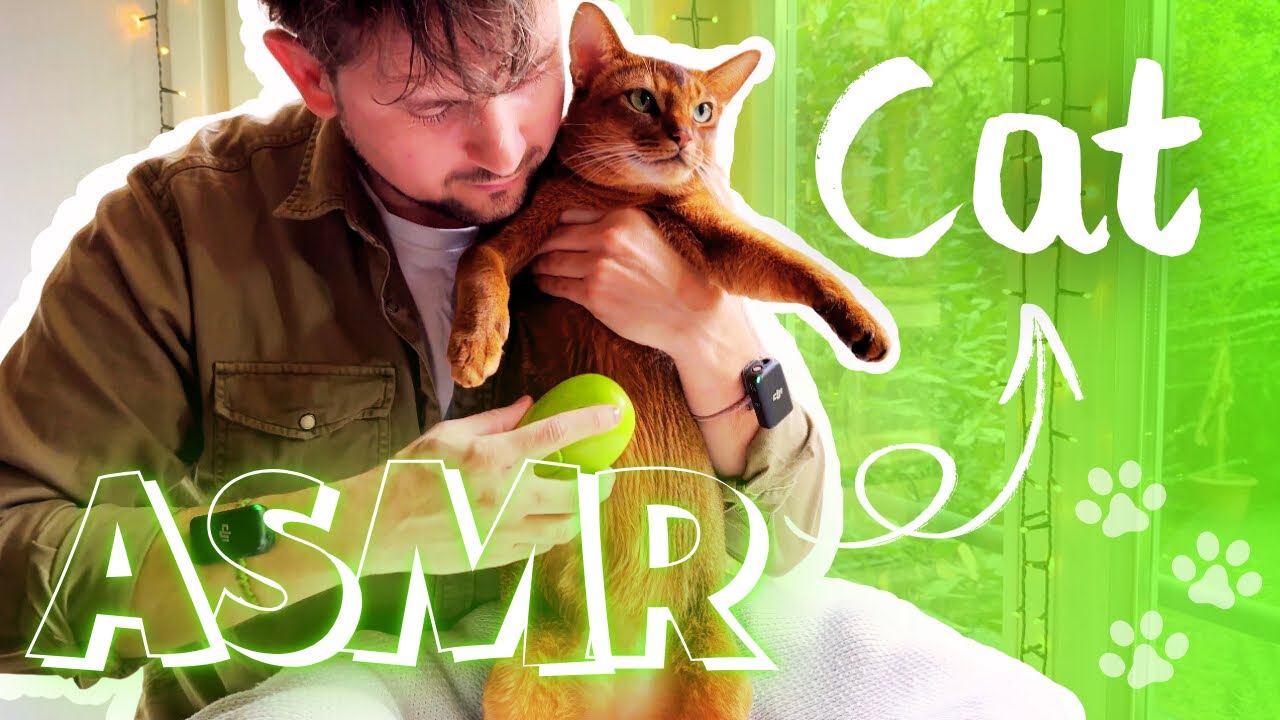 ASMR with SenSej Cat