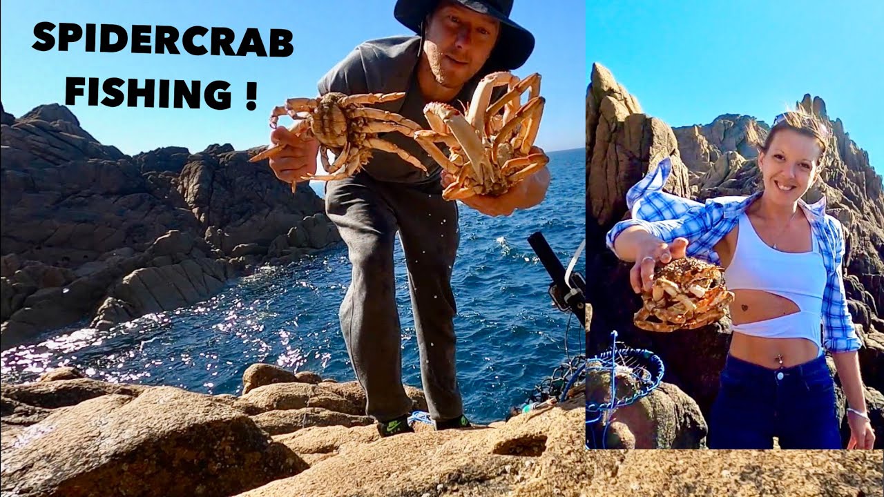 SPIDER CRAB FISHING With My Girlfriend! Fun Day On The Rocks