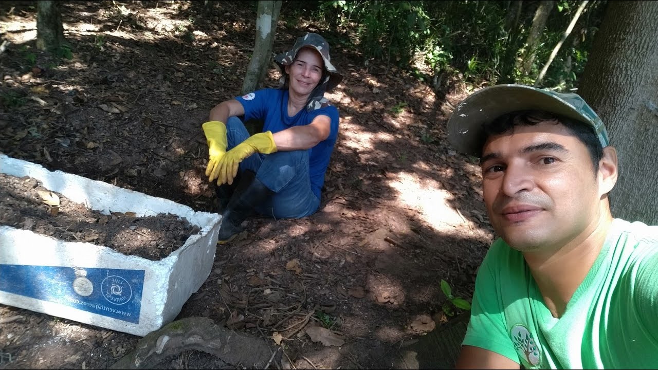 Mudar da Cidade ao Campo adapta&ccedil;&otilde;es na Escola Plantar em Casa