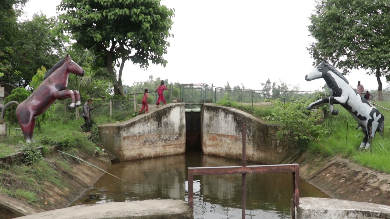 वृत  चित्र || प्रदेशको कैलाली जिल्लामा अवस्थित घोडाघोडी ताल || Documentri Ghodaghodi lake