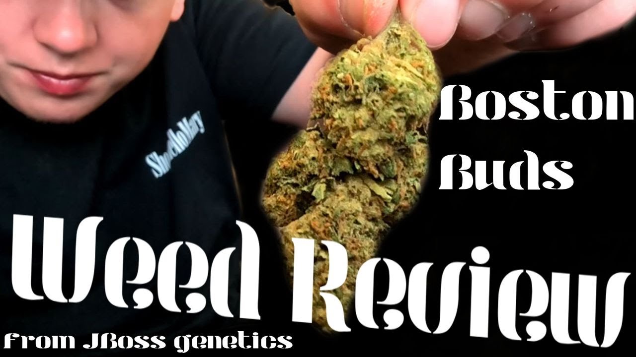 Boston Buds Flower Review! 2 strains of...