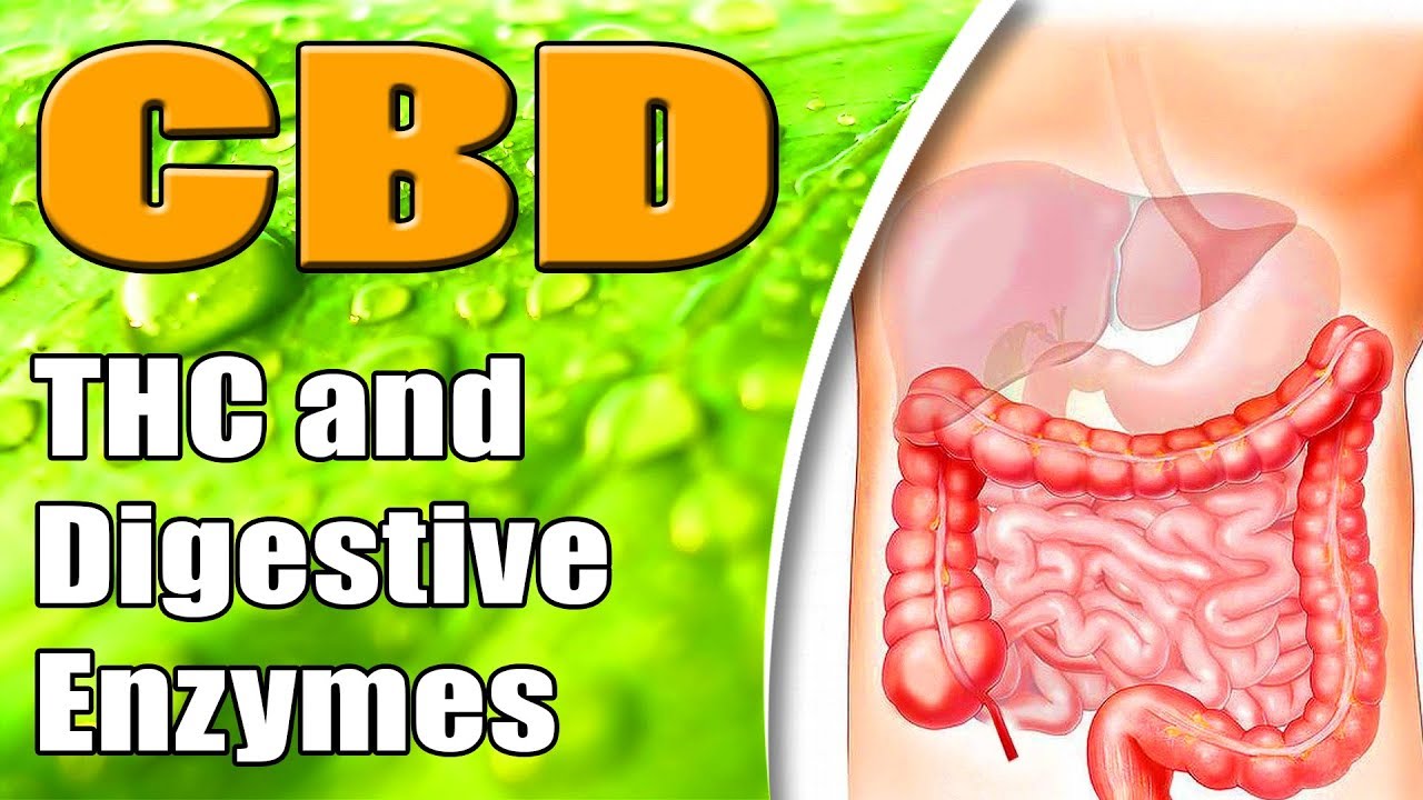 Can CBD Convert To THC in Digestive Enzymes (New Data!!) - azWHOLEistic