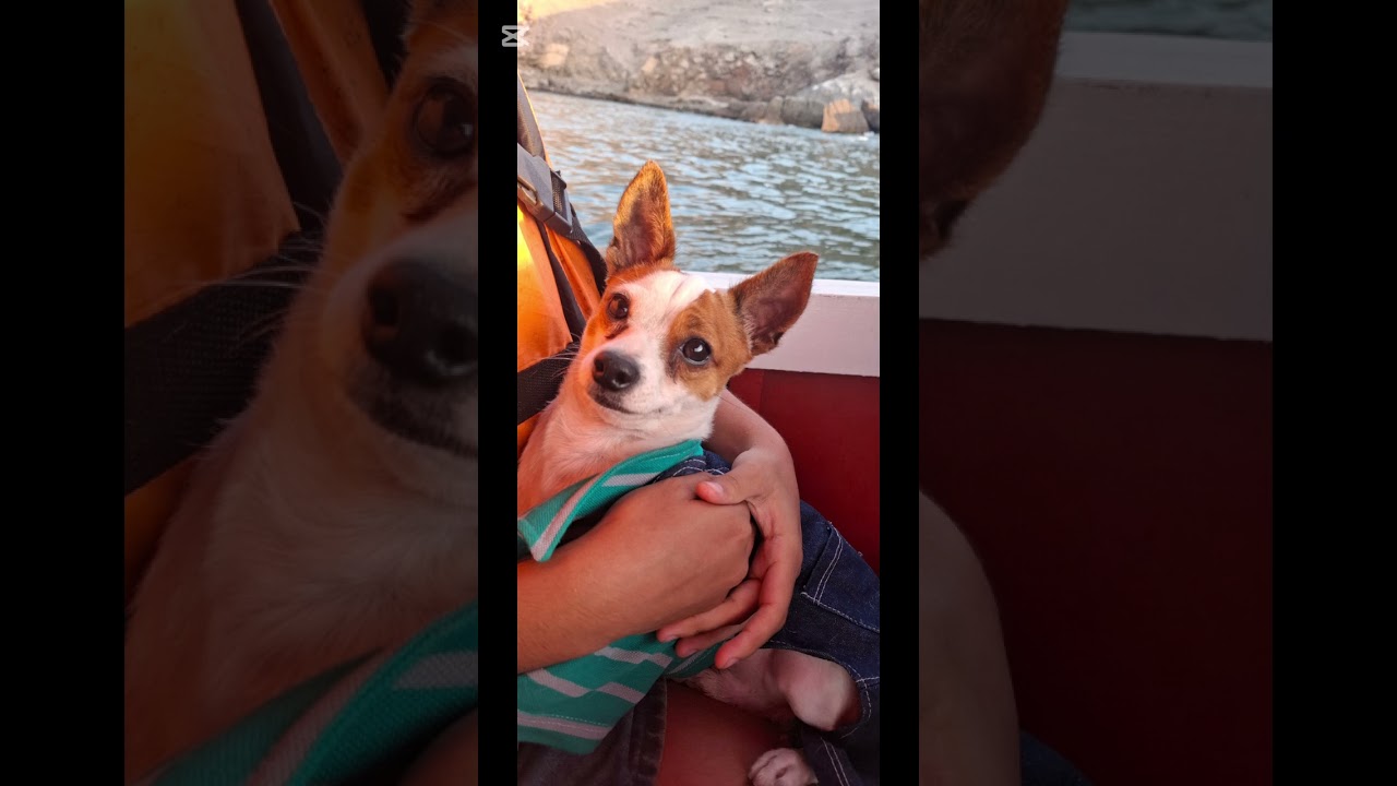 MI  TIERNO PEPITO  EN LA  PLAYA  DE ANCON 💗💖💝🌸💐🌻🌻🌲🌹🏵🪷