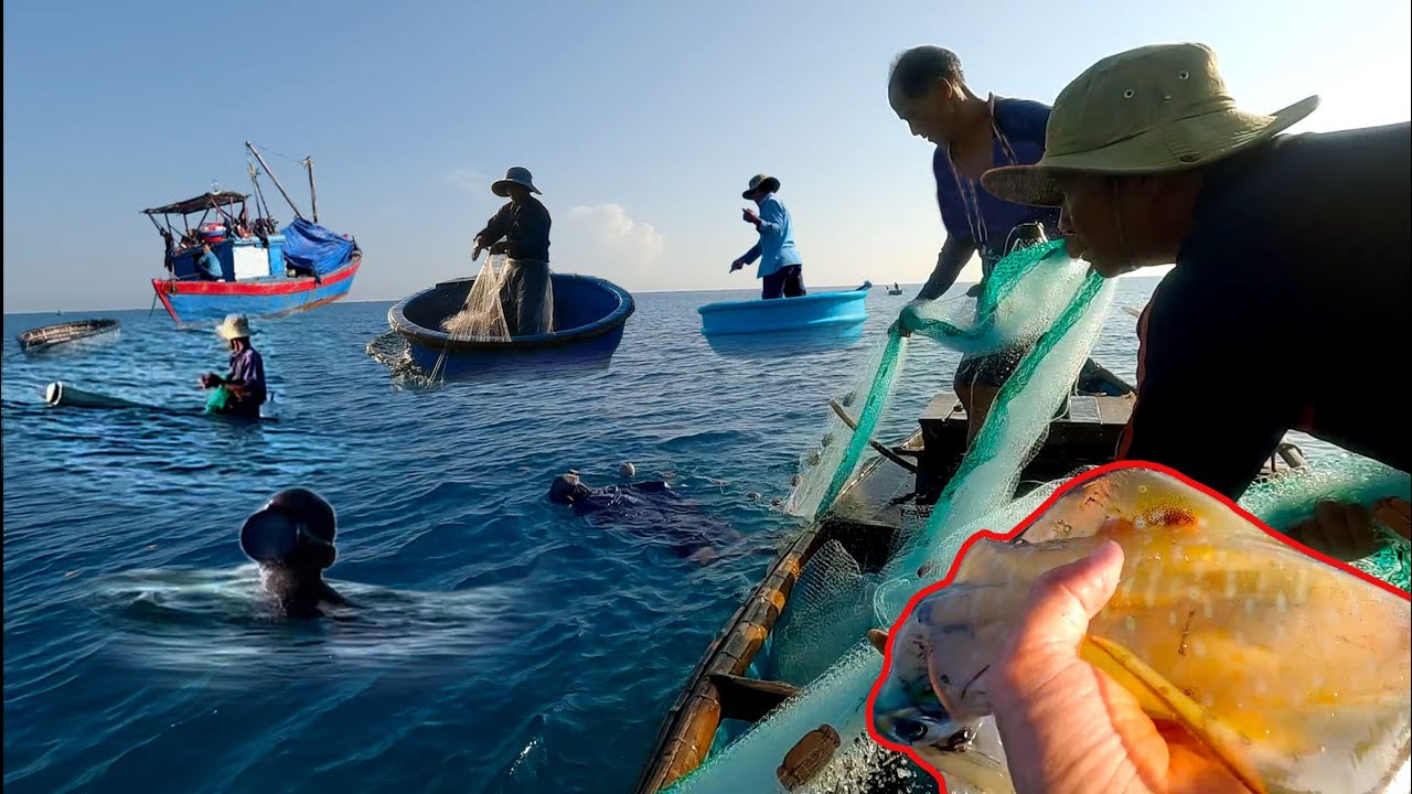 Độc Đáo Nghề Lưới Mực Vây Rạn,Cụ Hơn 70 Tuổi Lặn Biển Hơn Trai Trẻ.
