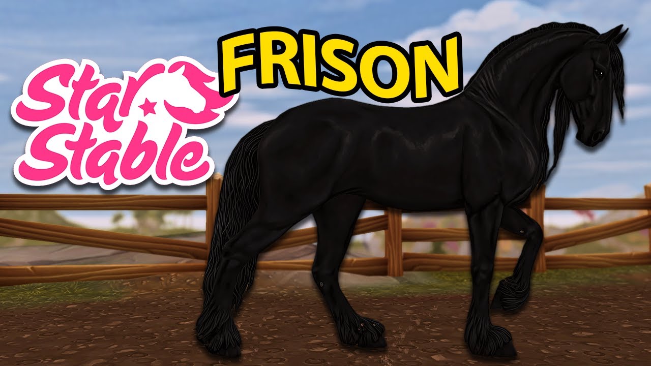 Achat d'un Frison Baroque ⚜️ | Star Stable - SSO