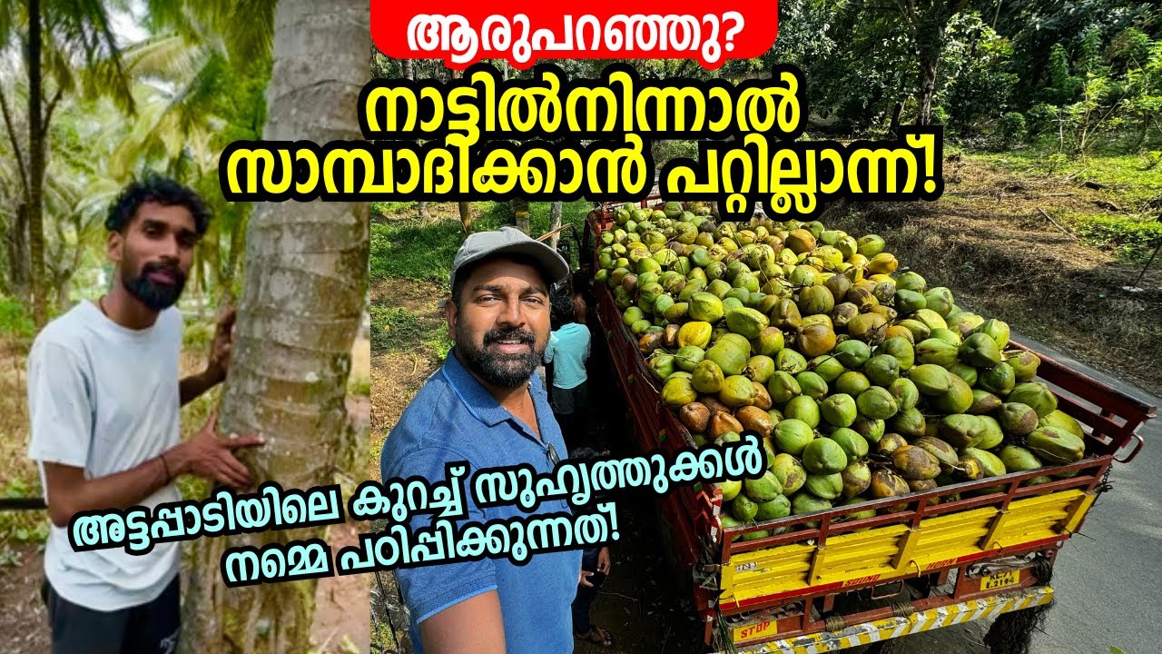 നാട്ടിൽനിന്ന് കാശുണ്ടാക്കാൻ പറ്റില്ലെന്ന് ആരുപറഞ്ഞു? Real Life Stories from Attappadi - Ashraf Excel