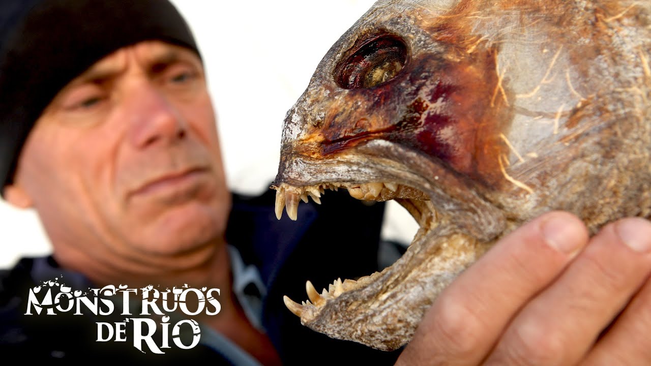 La Leyenda del Lago Ness: ¿Jeremy Descubrirá la Gran Leyenda? | T5 E05 | Monstruos de Río