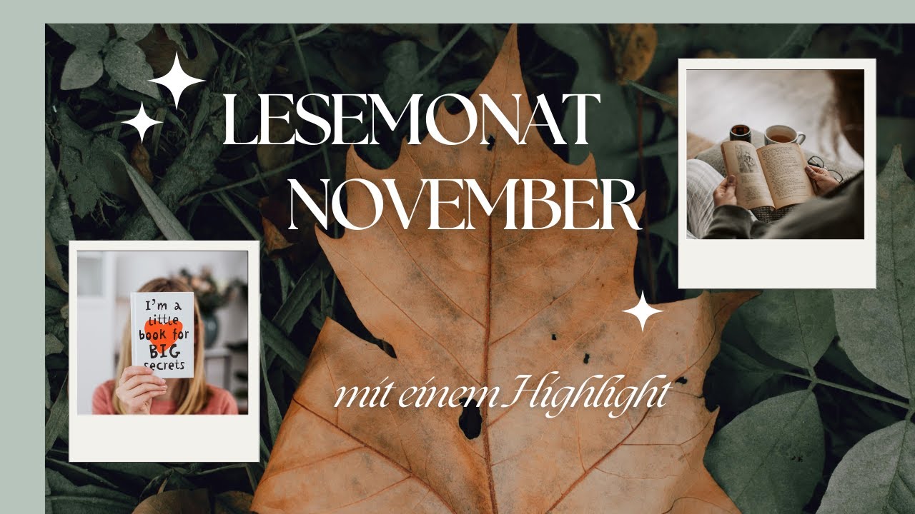 Lesemonat November | Highlight | Büchermix