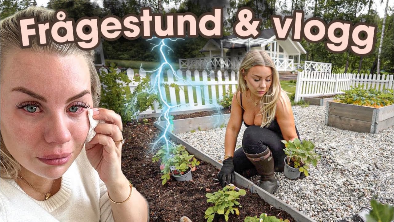 Midsommarfiasko, tråkiga besked & svar på frågor