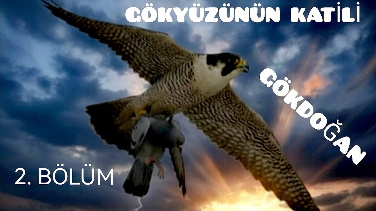 GÖKYÜZÜNÜN KATİLİ GÖKDOĞAN (2.BÖLÜM)