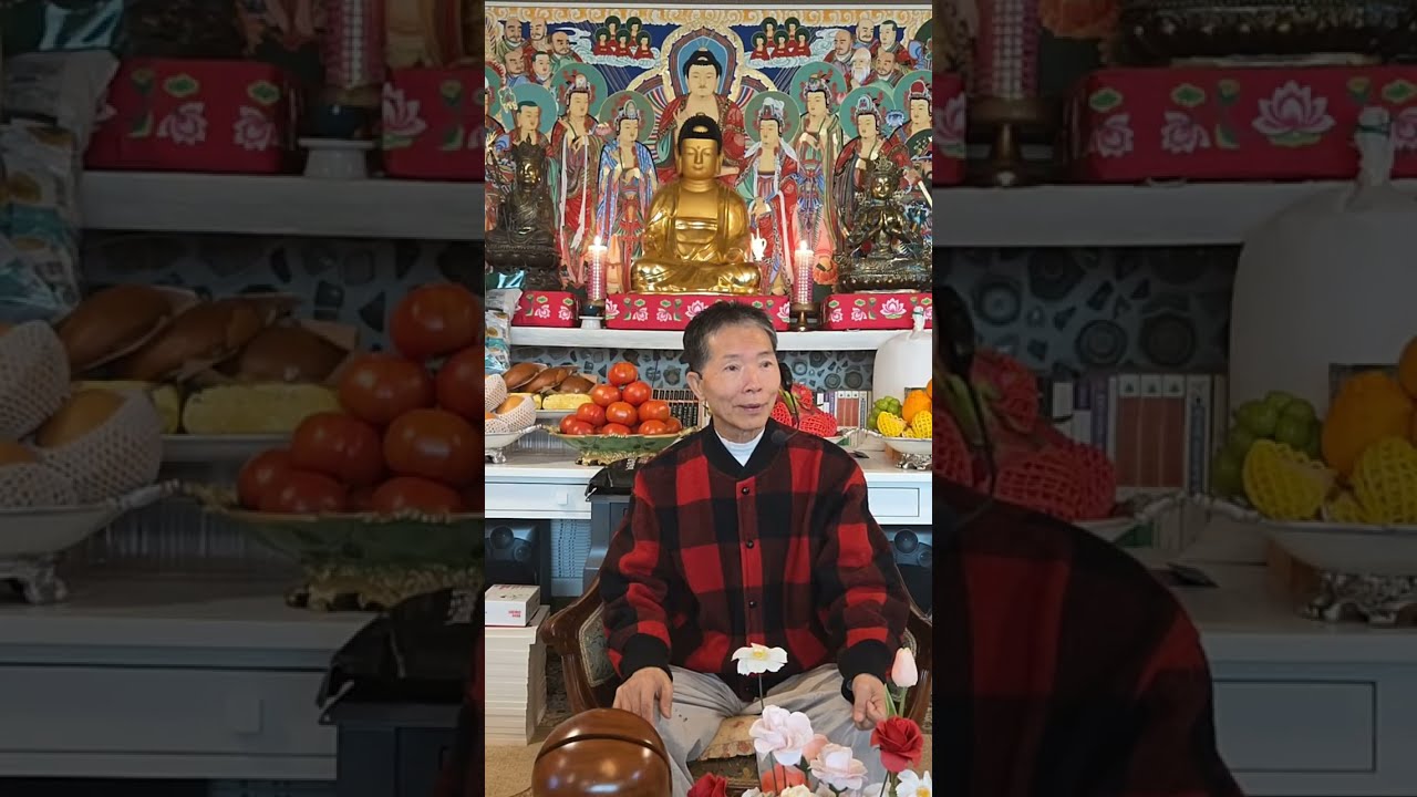 불교명상 보림선방 라이브 스트리밍 중