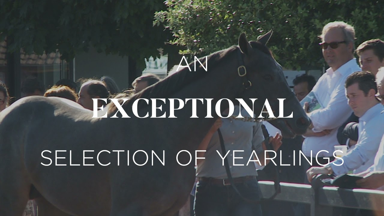 2021 August Yearling Sale