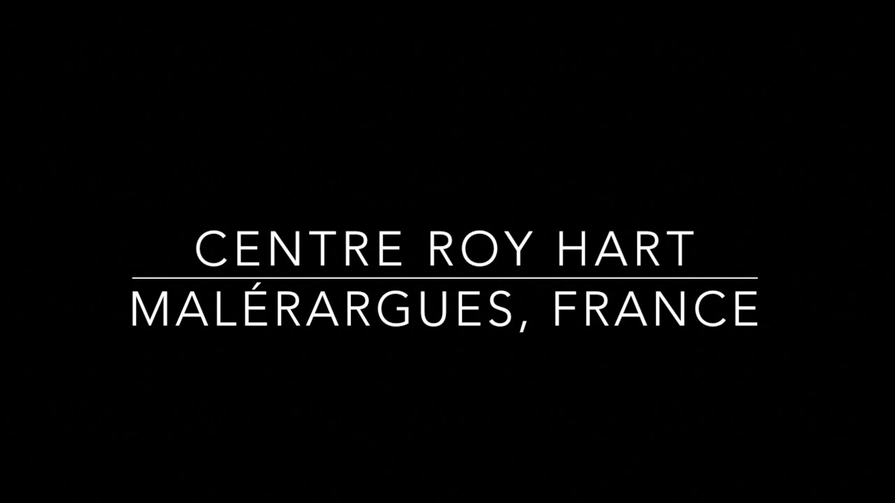 Interviews: 2023 Stage intensif de 4 semaines / 4 week intensive workshop