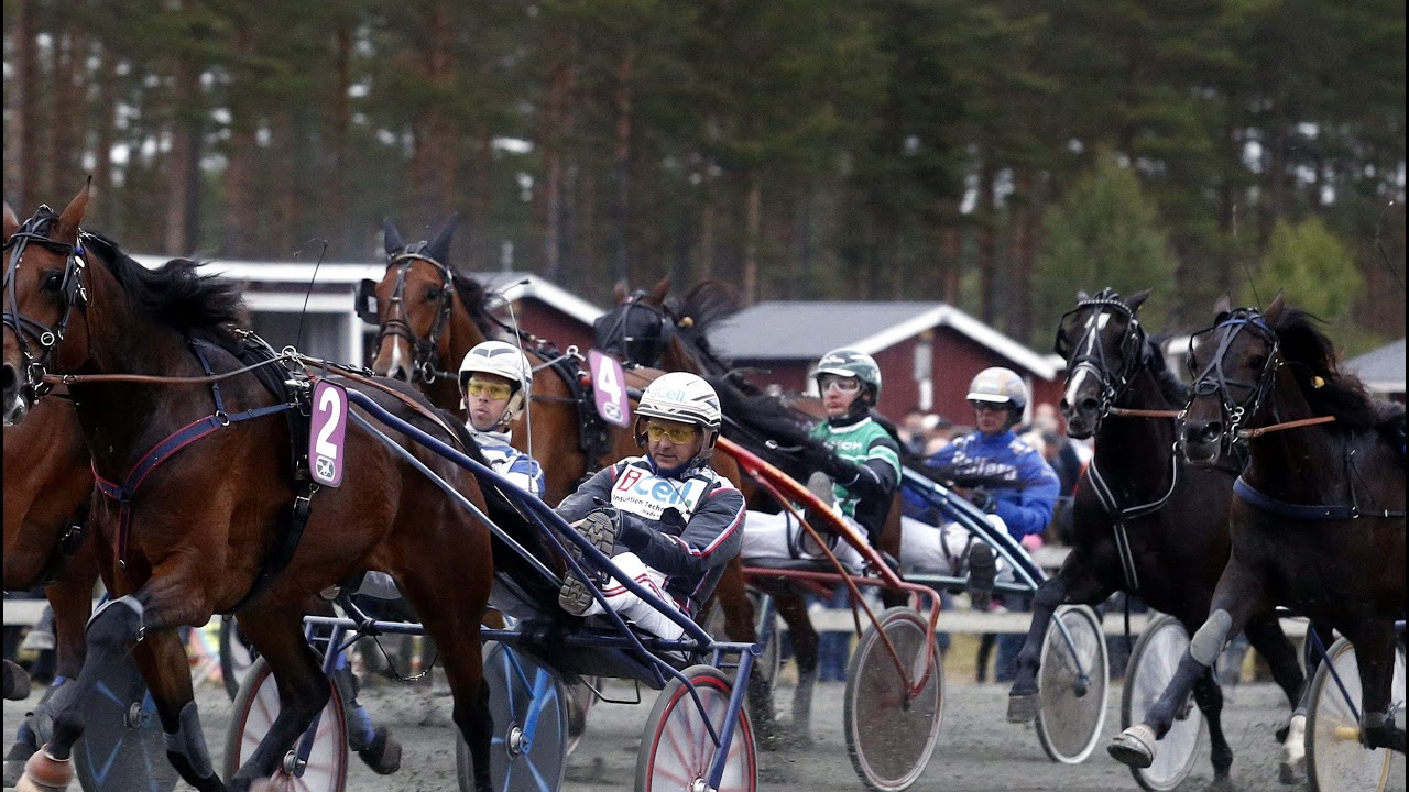 DD-tips Romme 2026-01-19