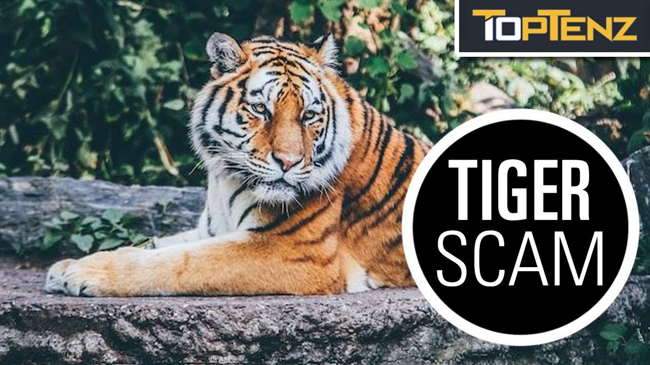 Tourist Scams to Watch Out for in Asia