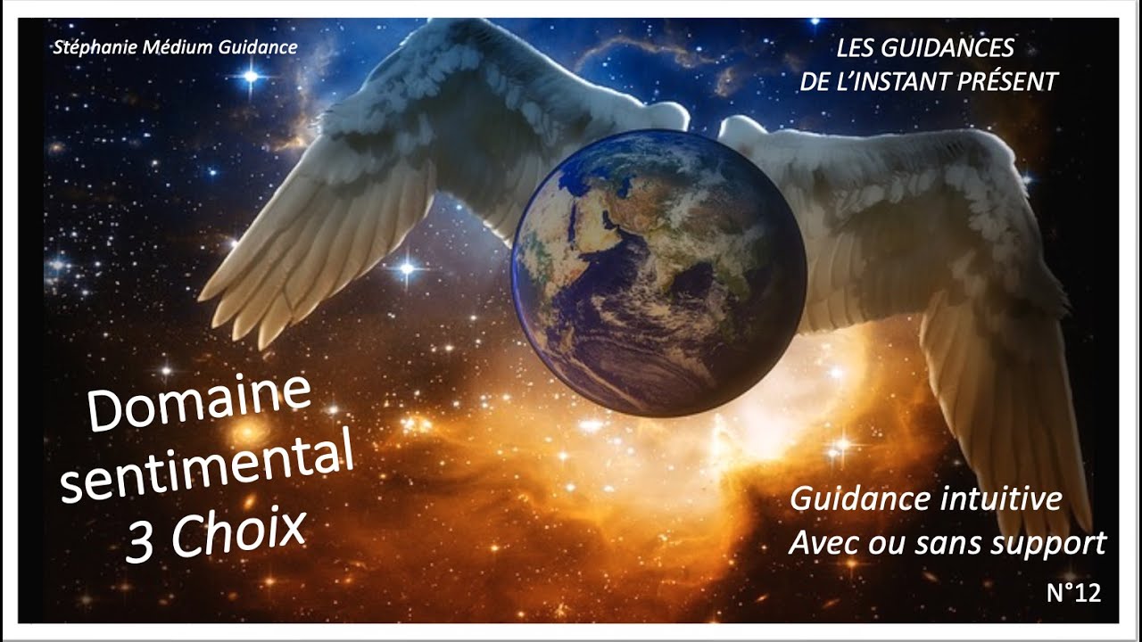 GUIDANCE SENTIMENTAL 3 CHOIX N°12