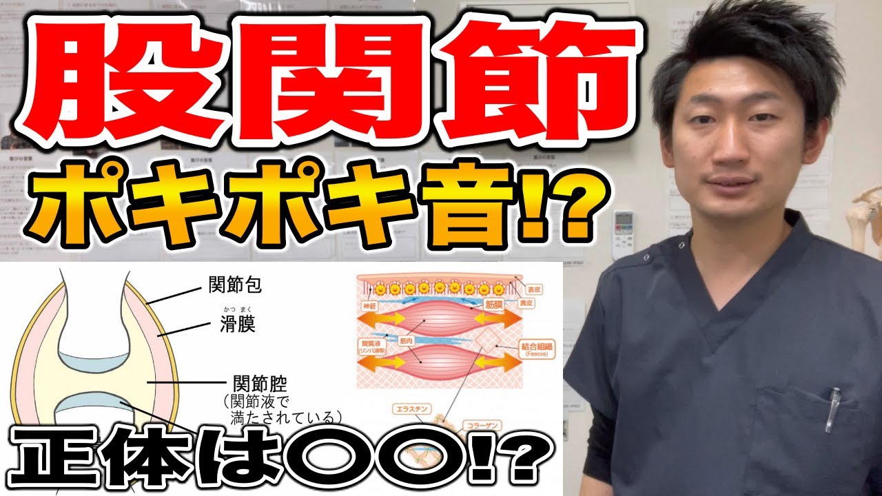 【解説】股関節やその他関節がポキポキ音が鳴っている方は見て下さい【#ハリボディTV】
