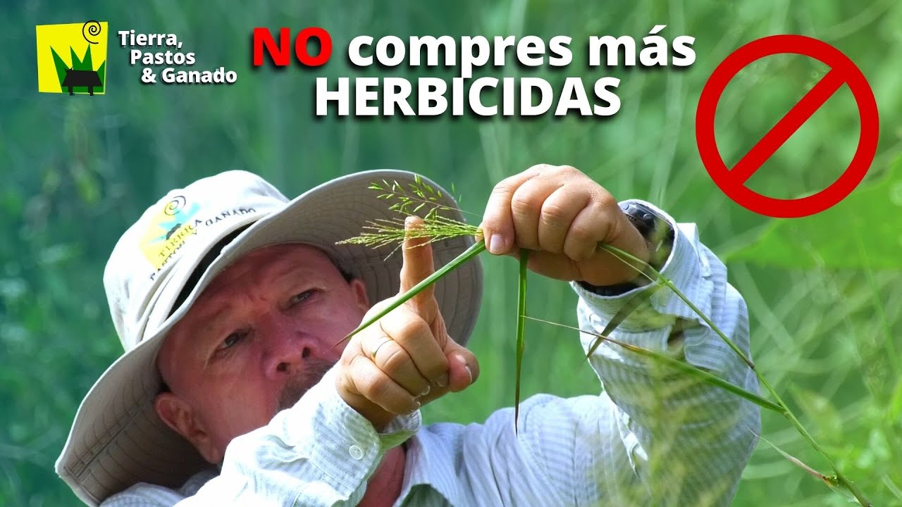 Elimina todas las MALEZAS sin HERBICIDAS / PARTE 1