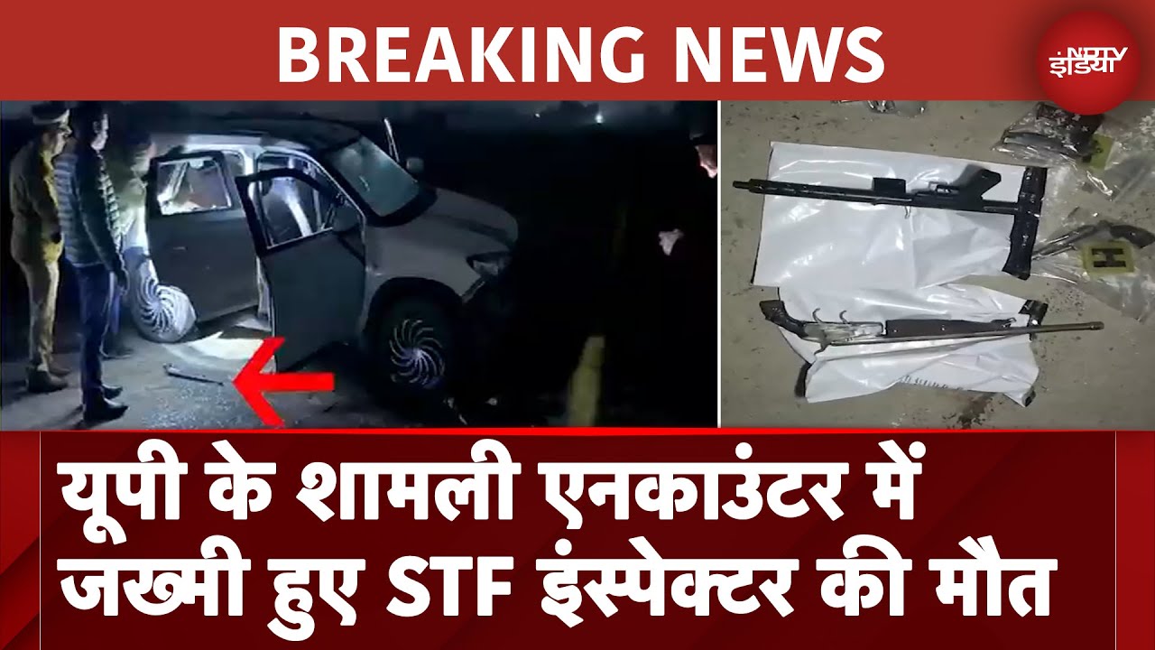 Shamli Encounter: घायल STF इंस्पेक्टर ने तोड़ा दम, पेट में लगी थी 3 गोलियां | UP News |BREAKING NEWS
