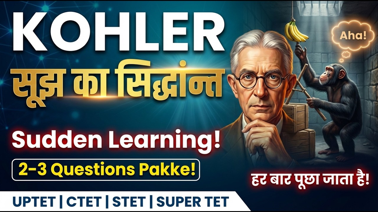 Kohler Insight Theory 🔥 | 2–3 Questions Pakke! | सूझ का सिद्धान्त | UPTET CTET STET