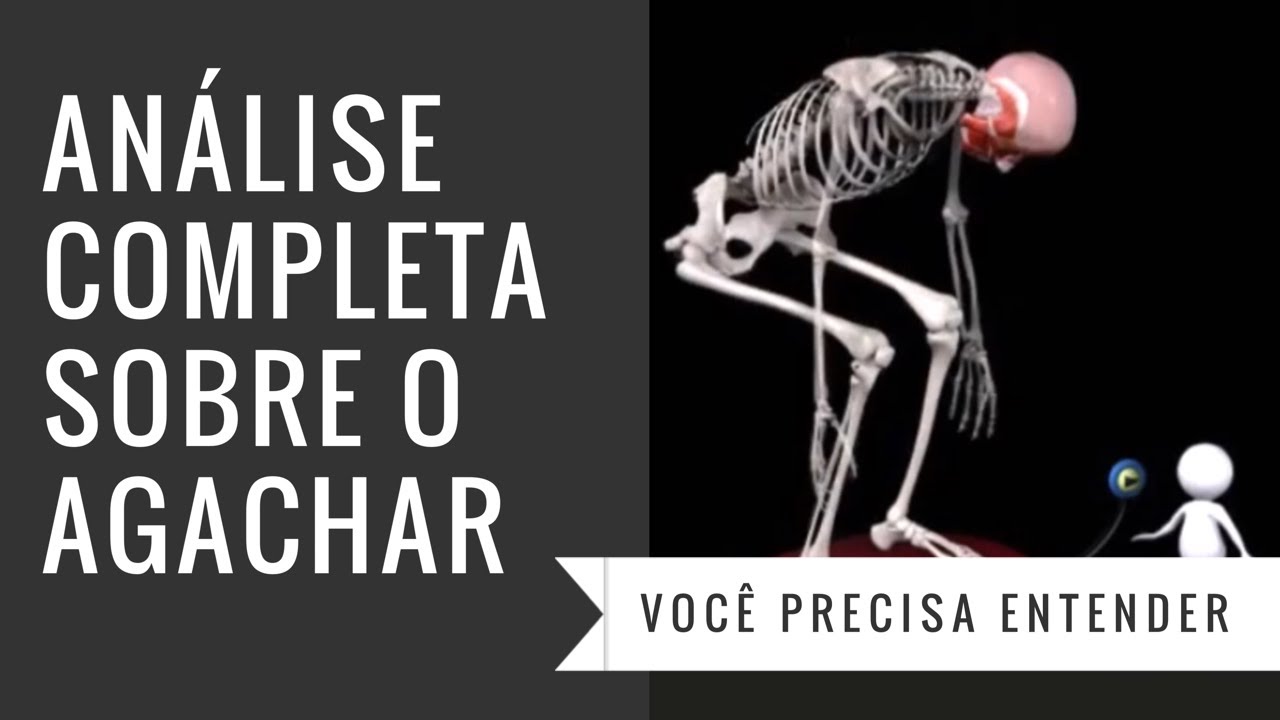 [BIOMECÂNICA] ANÁLISE DO AGACHAMENTO LIVRE