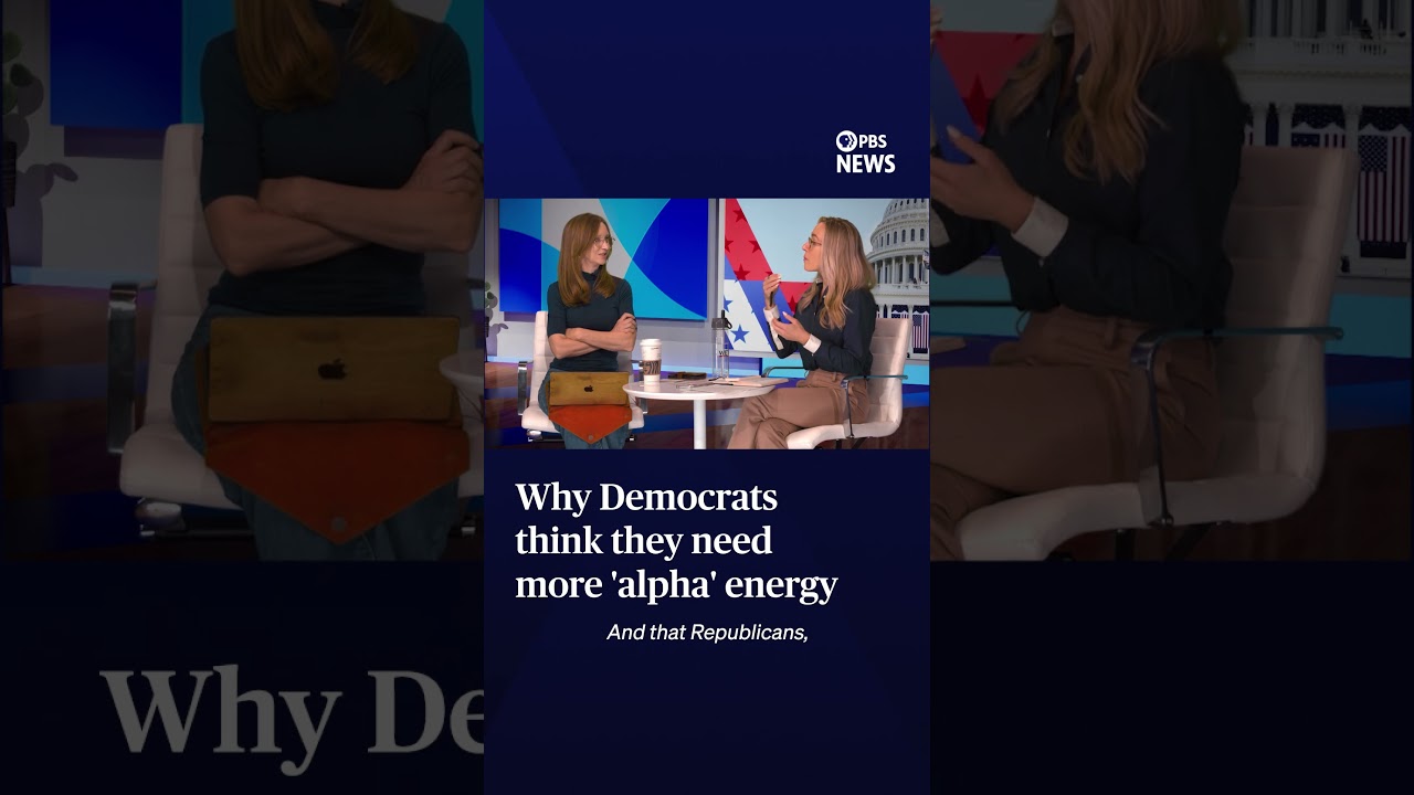 WATCH: Why Democrats think they need more 'alpha' energy