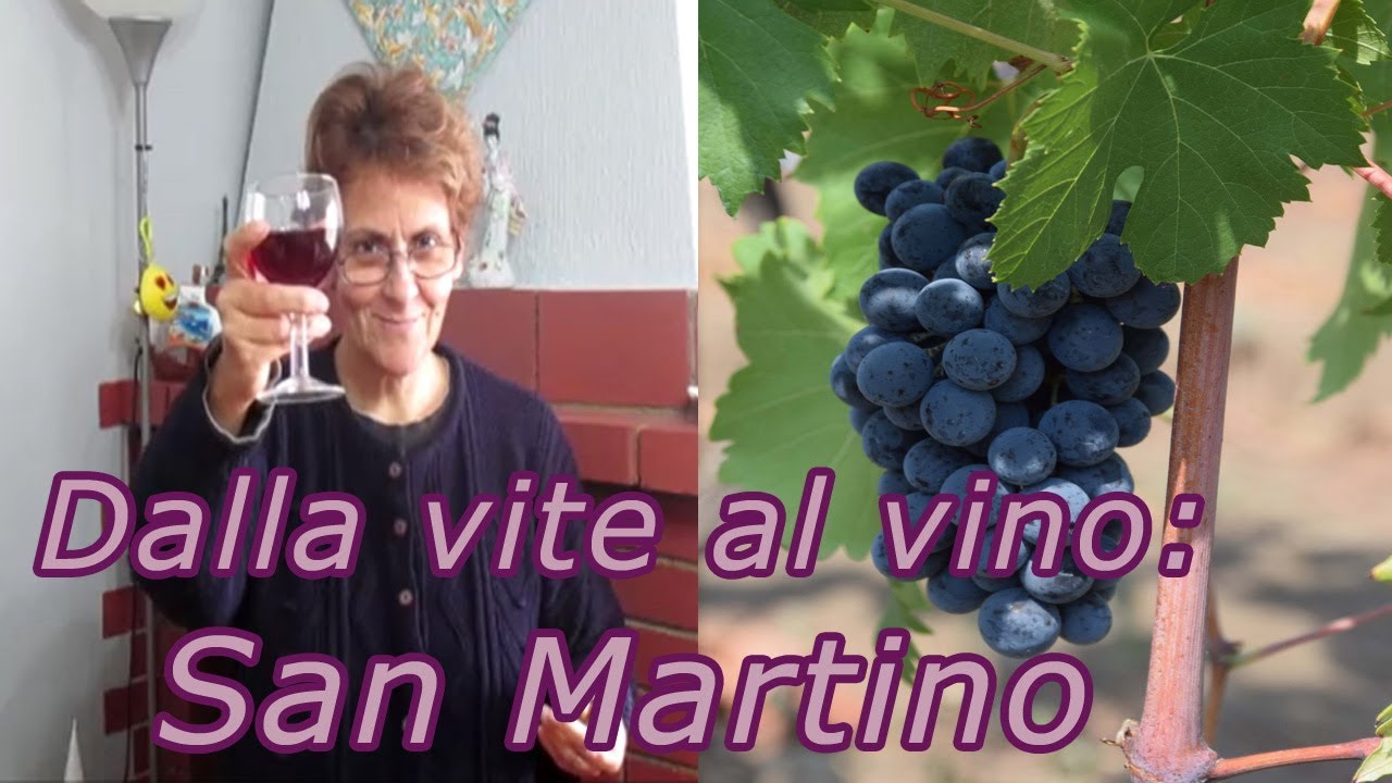 Dalla vite al vino #11 San Martino - castagne e vino